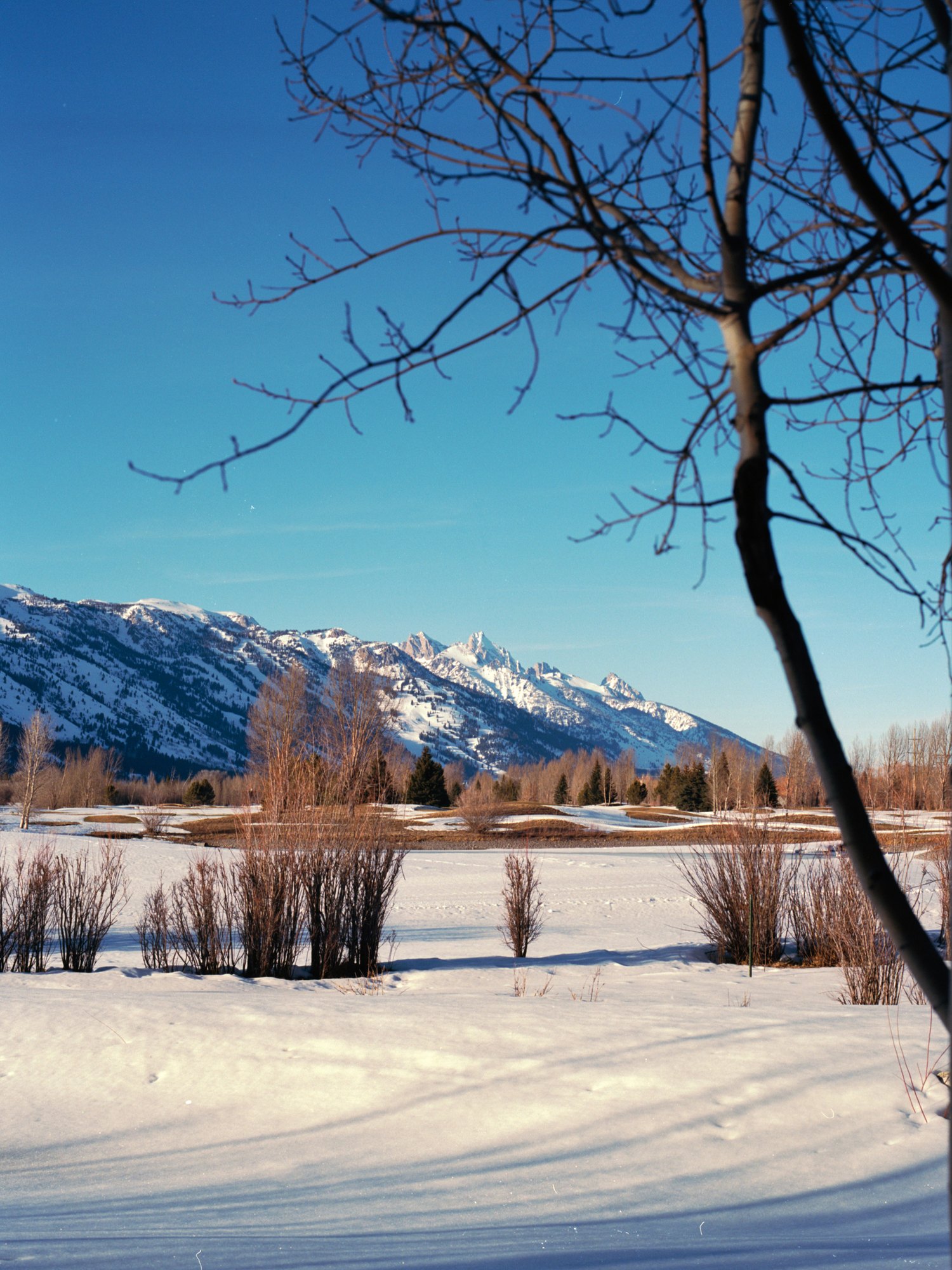 264689-19220178-JacksonHoleFeb2016117_jpg1.jpg
