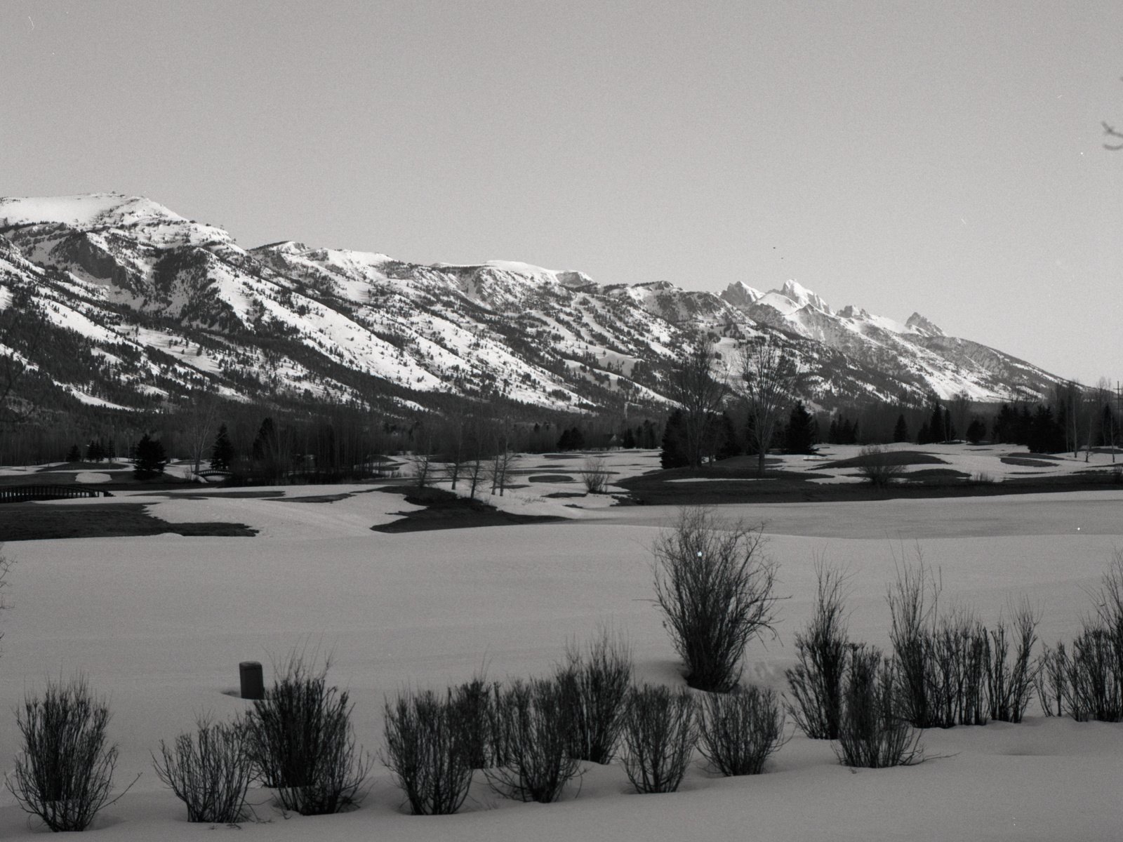 264689-19220170-JacksonHoleFeb2016106_jpg1.jpg