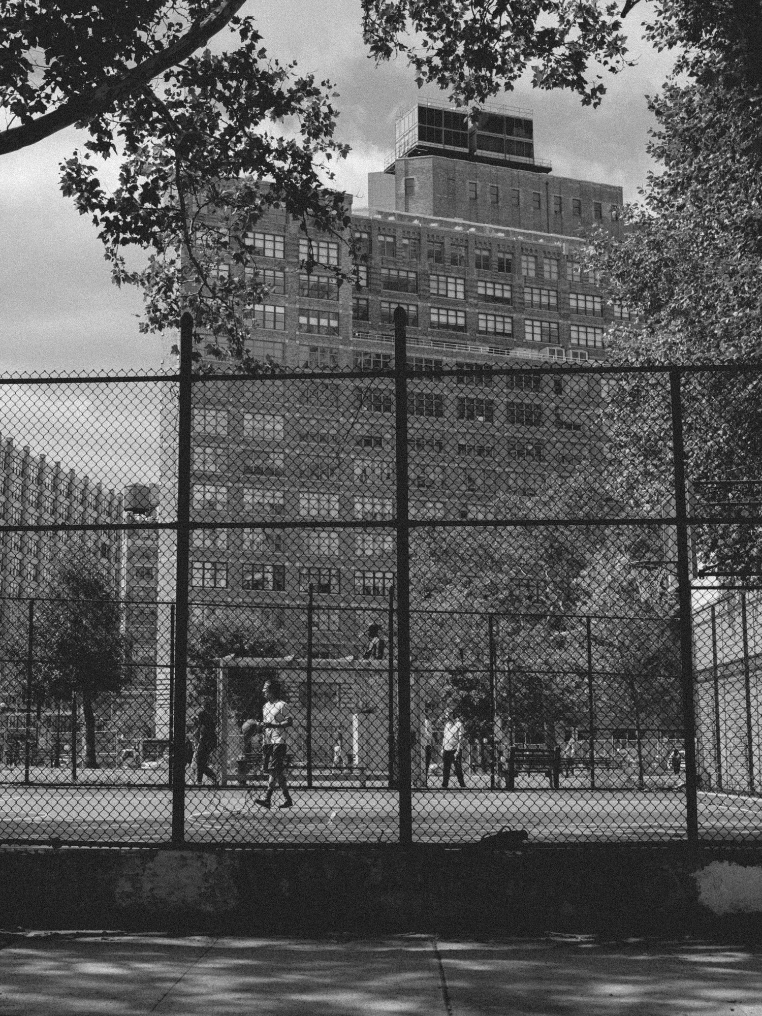 264689-18472984-NewYork0046_jpg.jpg